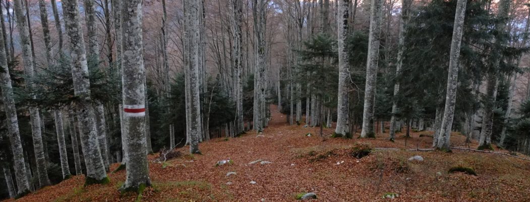 ESCURSIONI E TREKKING